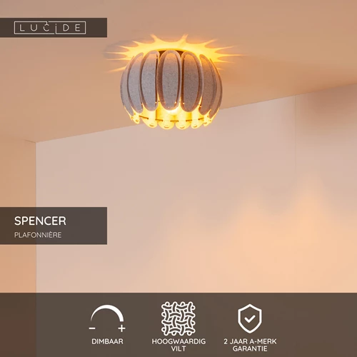 Lucide SPENCER - Plafonnière - Ø 30 cm - 1xE27 - Grijs - USP